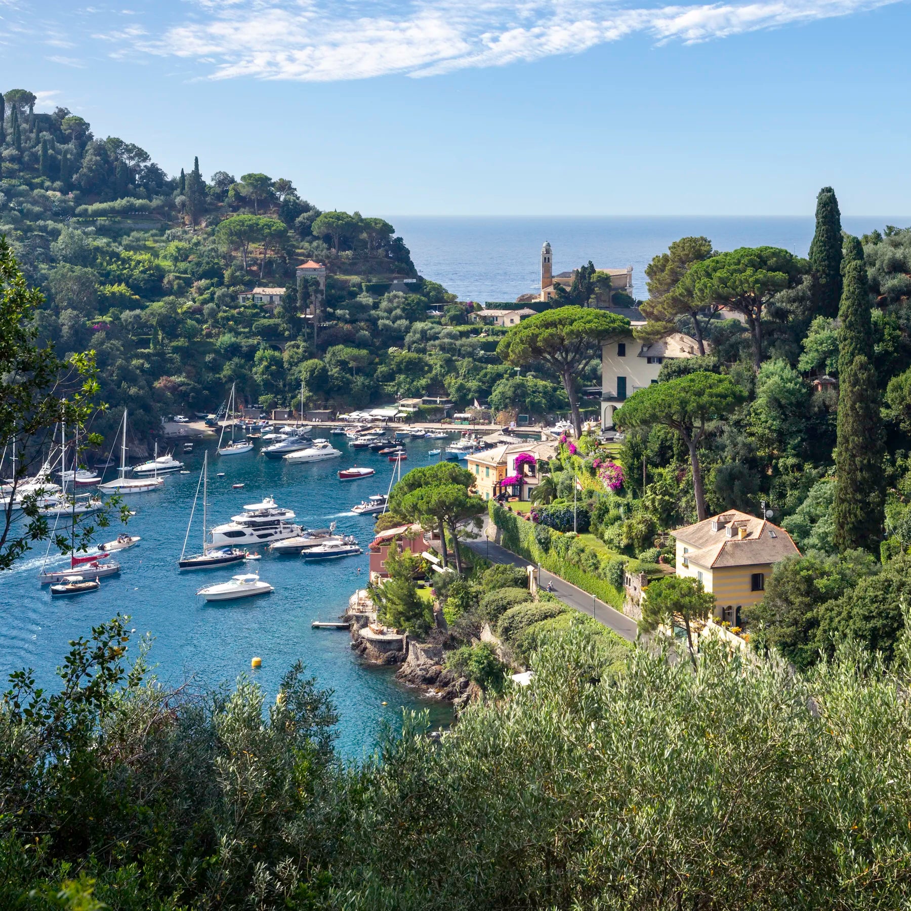 Portofino harbour with boats and buildings surrounded by greenery on a sunny day.