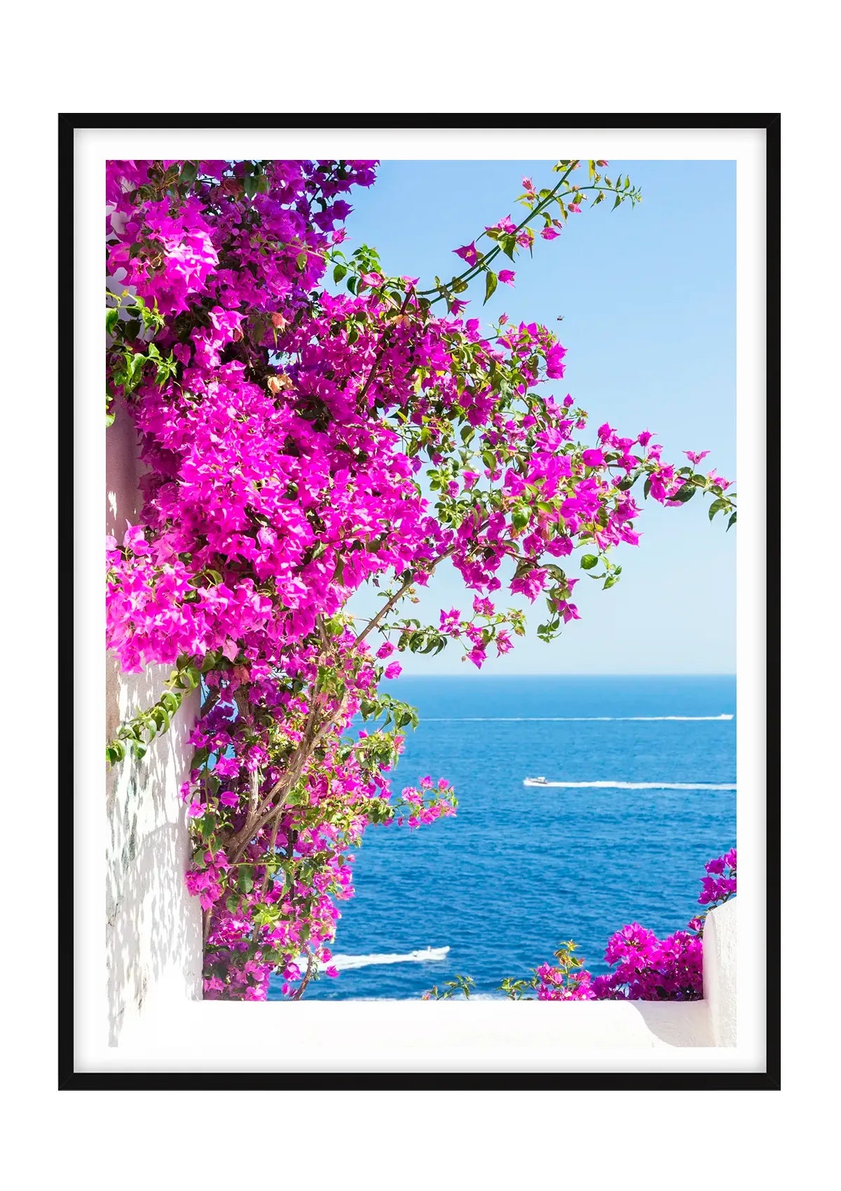 Bougainvillea, Praiano, Amalfi Coast