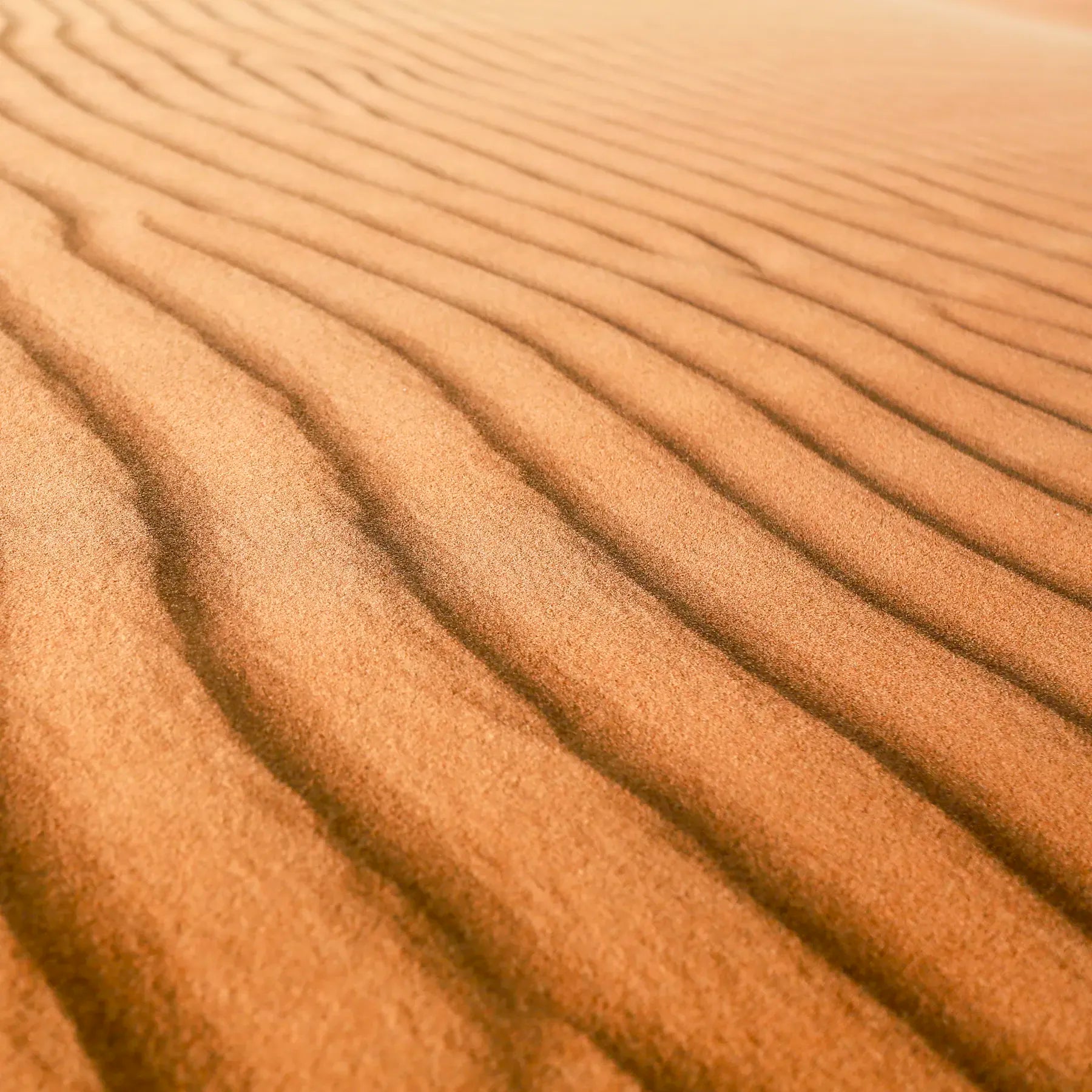 Close-up of sand dunes with ripples in a desert landscape
