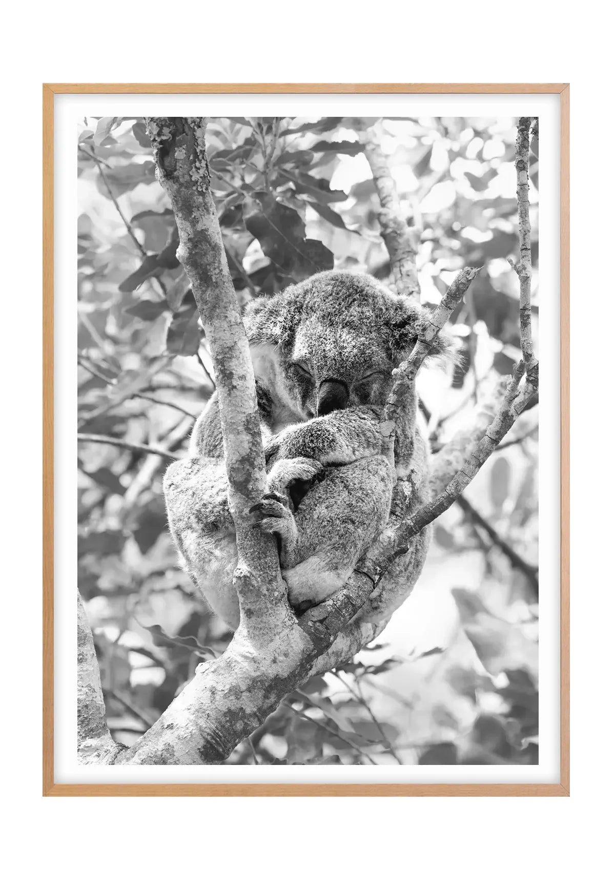 Highland Slumber, Black and White