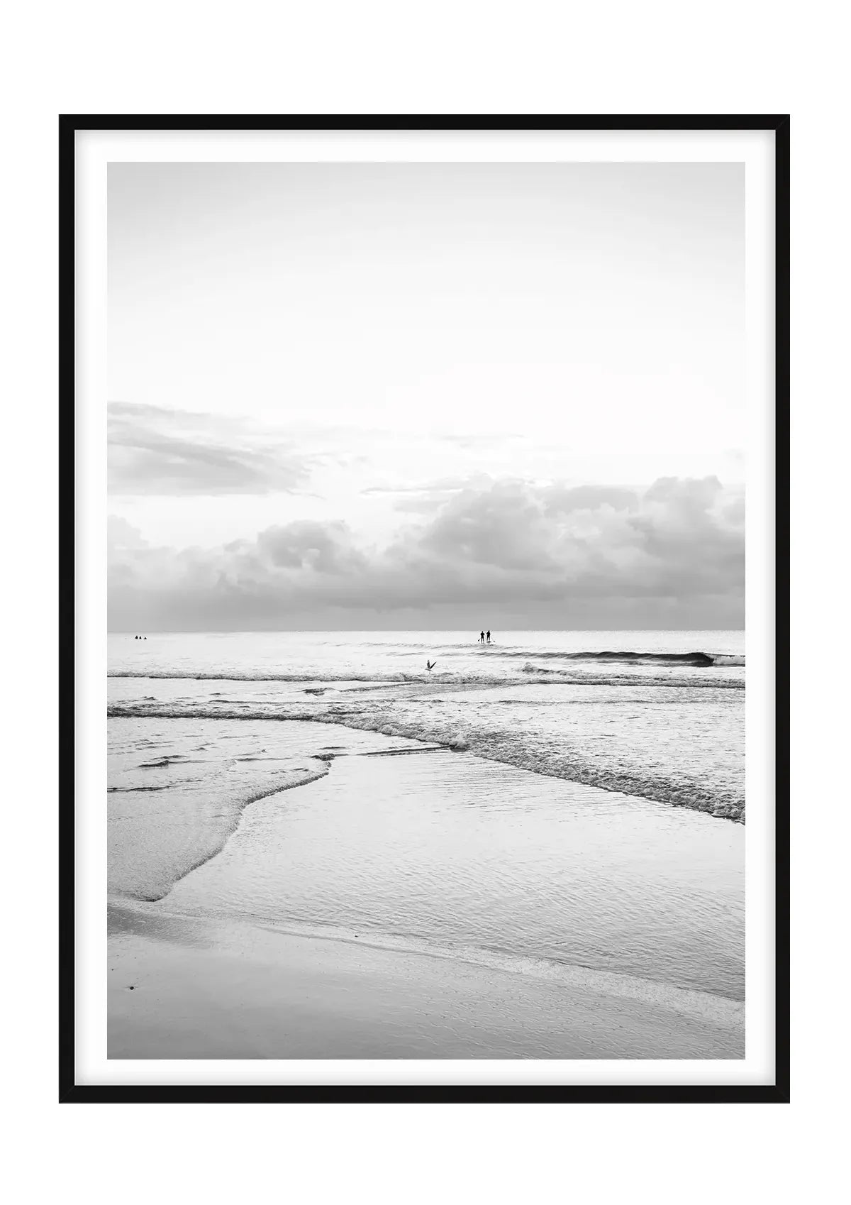 Morning Paddle, Manly - Black and White
