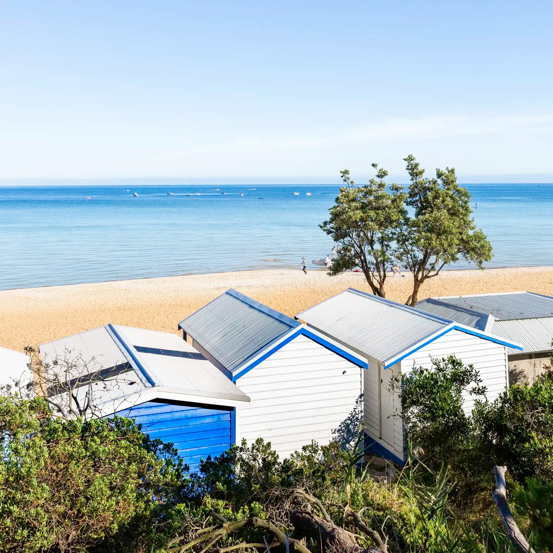 Beach huts on a sandy beach with ocean in the background