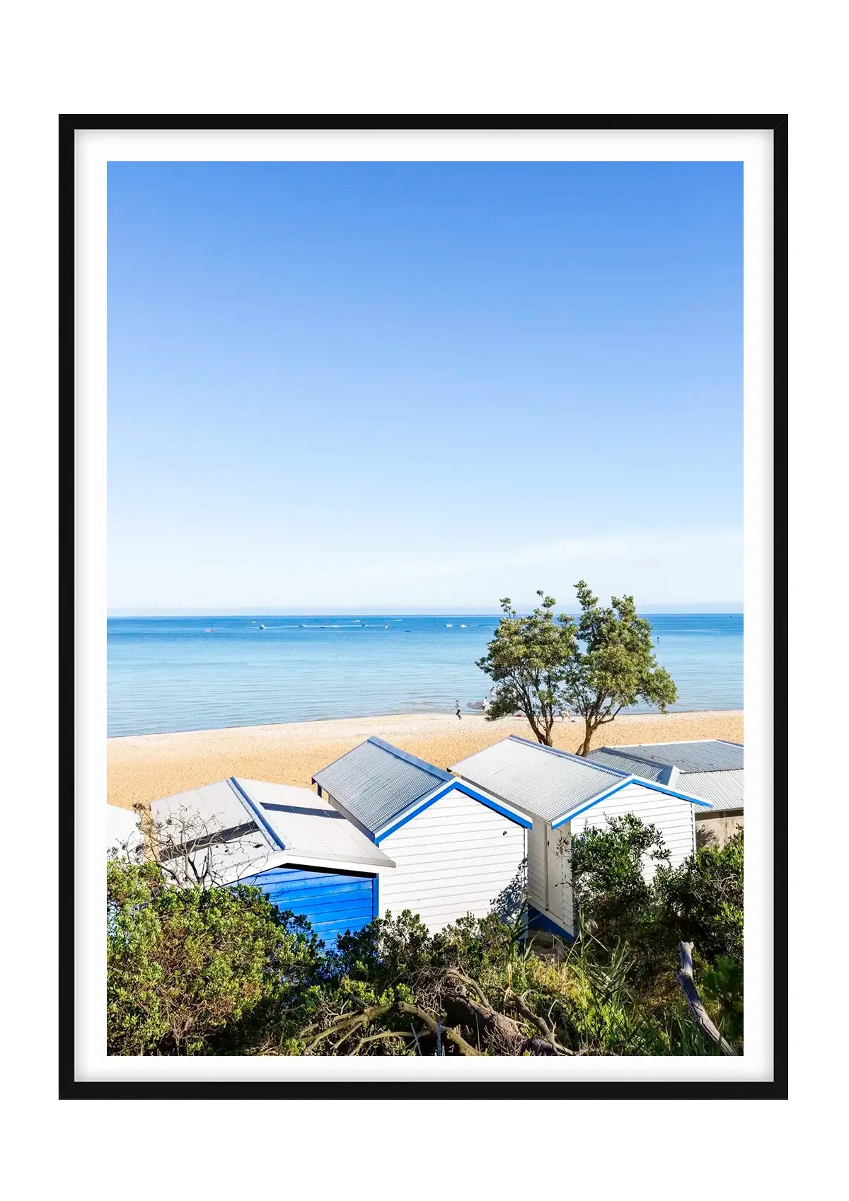 Mount Martha Boat Sheds and Banksia
