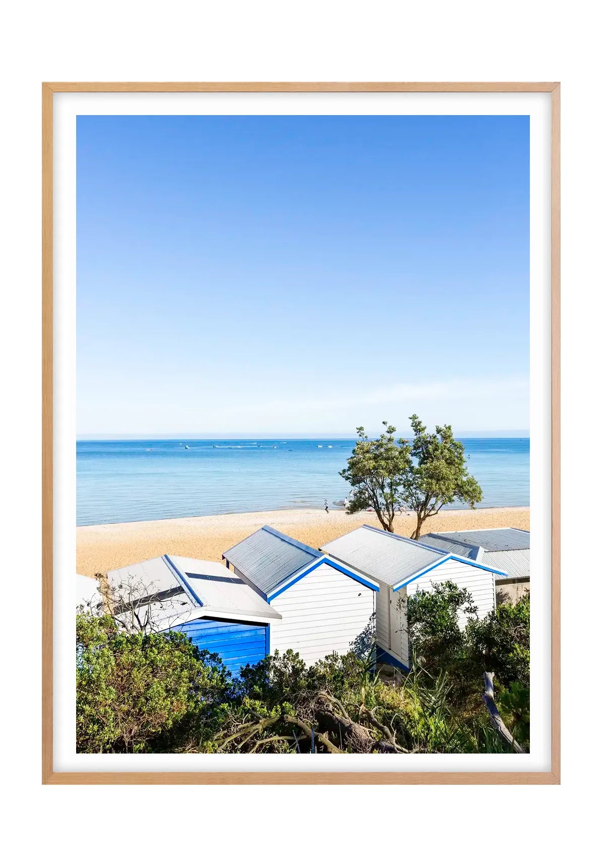 Mount Martha Boat Sheds and Banksia