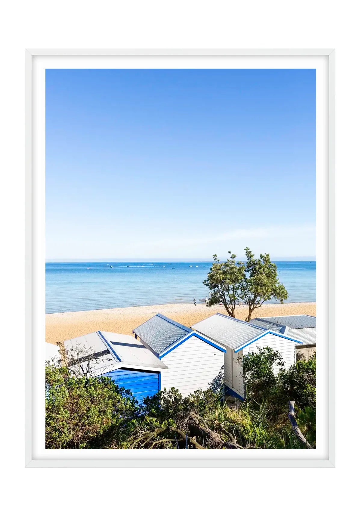 Mount Martha Boat Sheds and Banksia