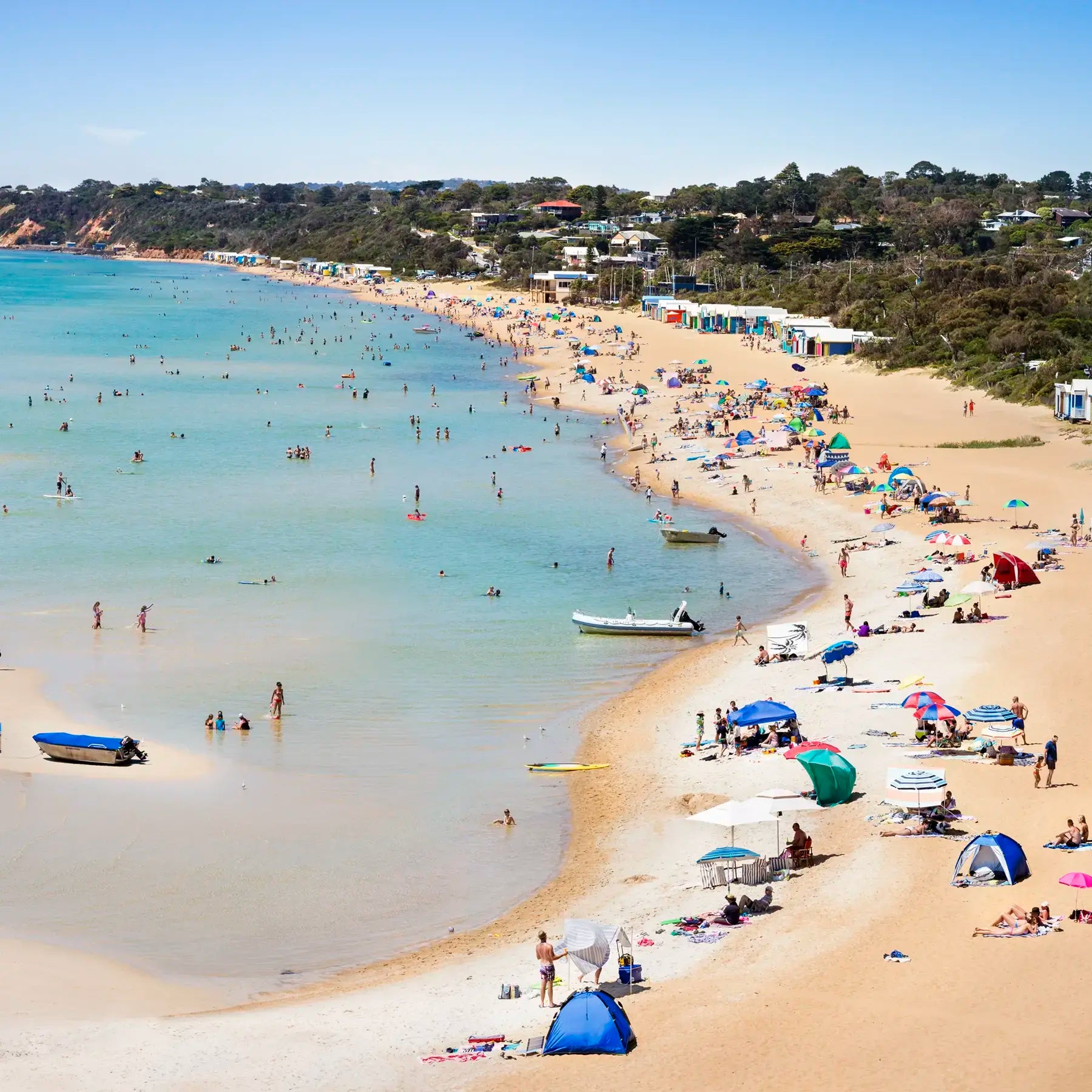 Beach scene of Mount Martha beach, with people, umbrellas, and boats on a sunny day.