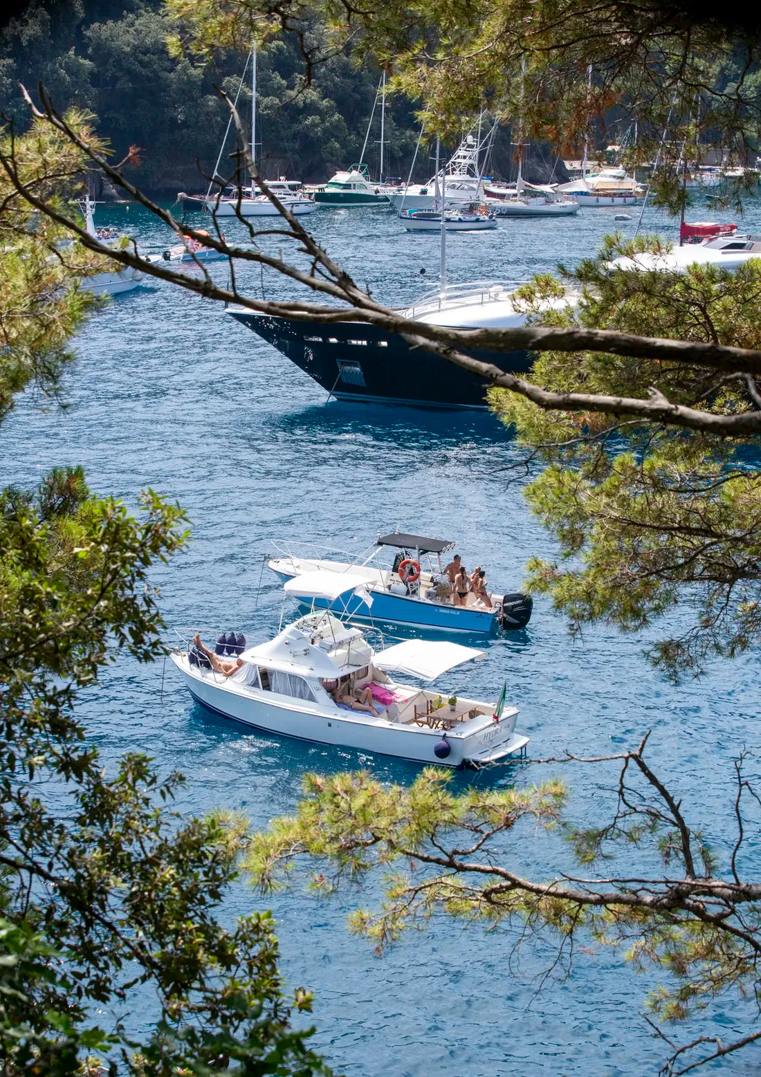 Boats on a body of water with trees in the foreground