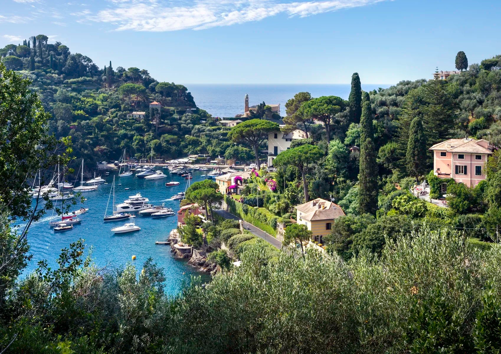 Harbor scene with boats and buildings surrounded by greenery