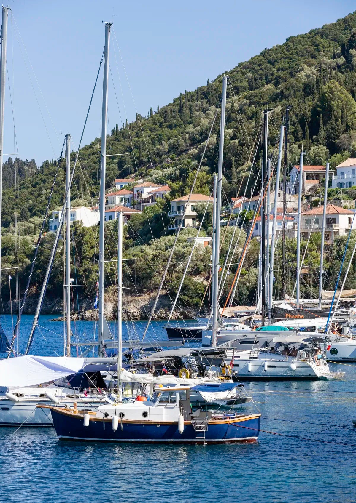 Marina with sailboats docked near a hillside with buildings and greenery