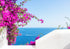 Floral view with ocean and boat in the background