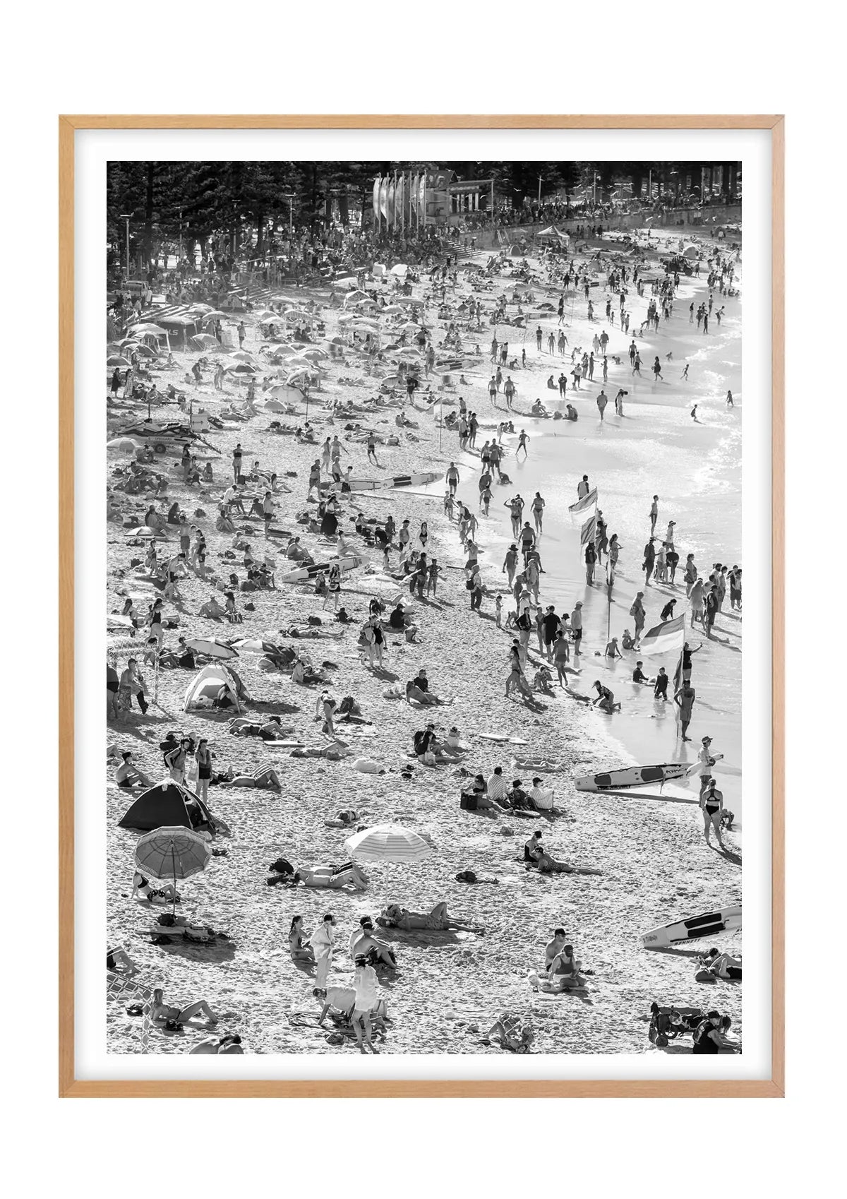 Bods at Manly Beach