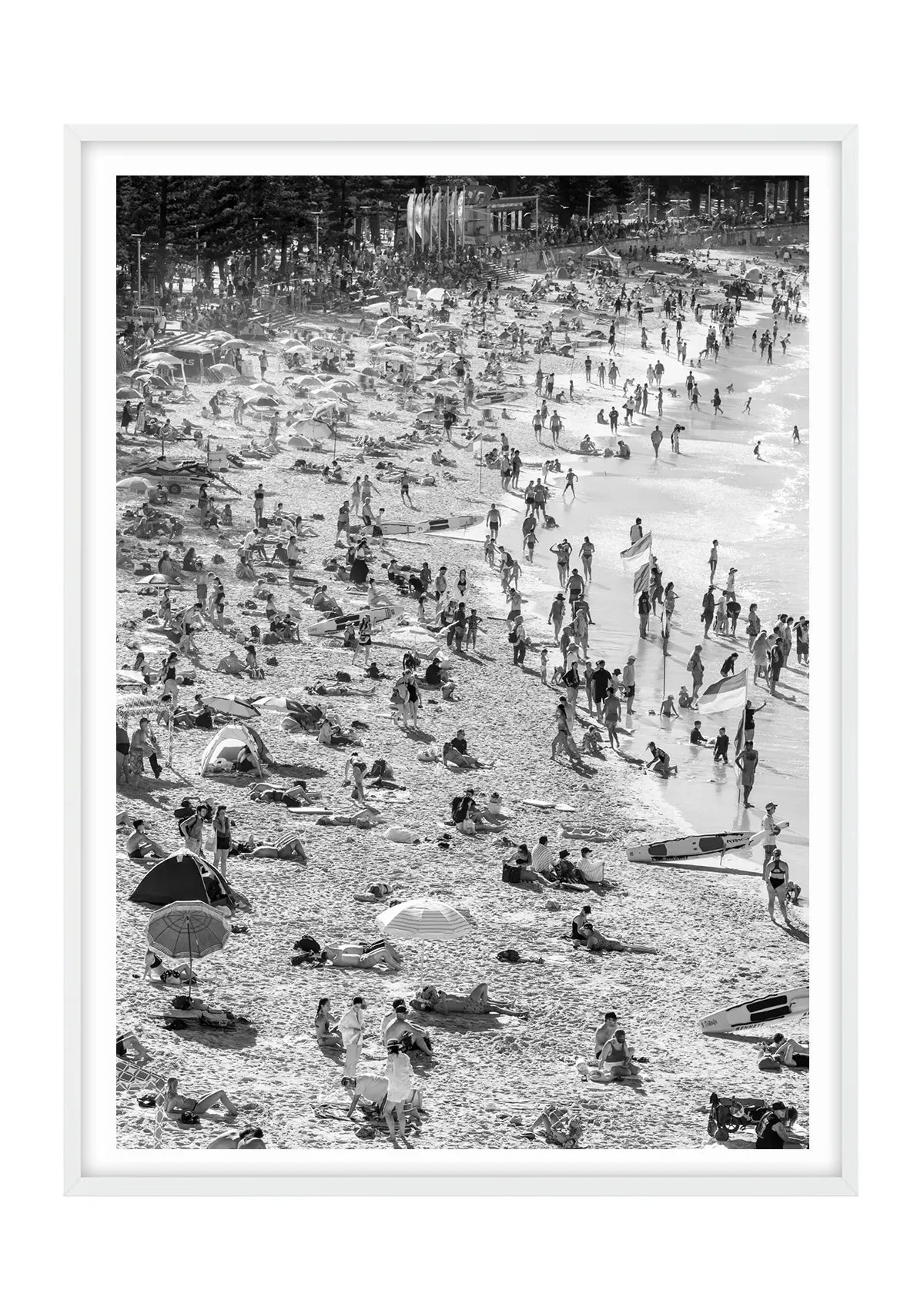 Bods at Manly Beach