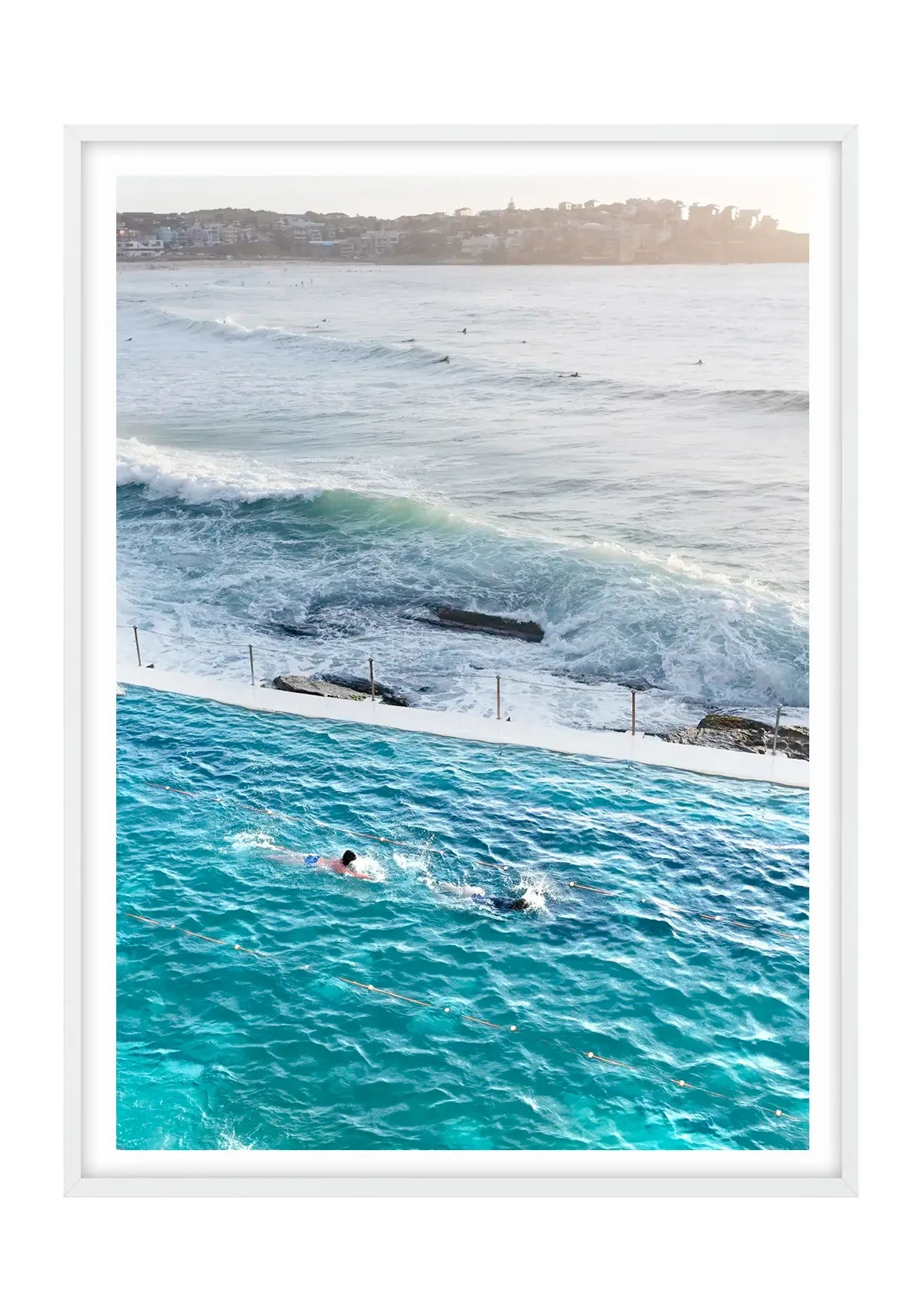 Bondi Morning Laps, Bondi Icebergs - Vertical