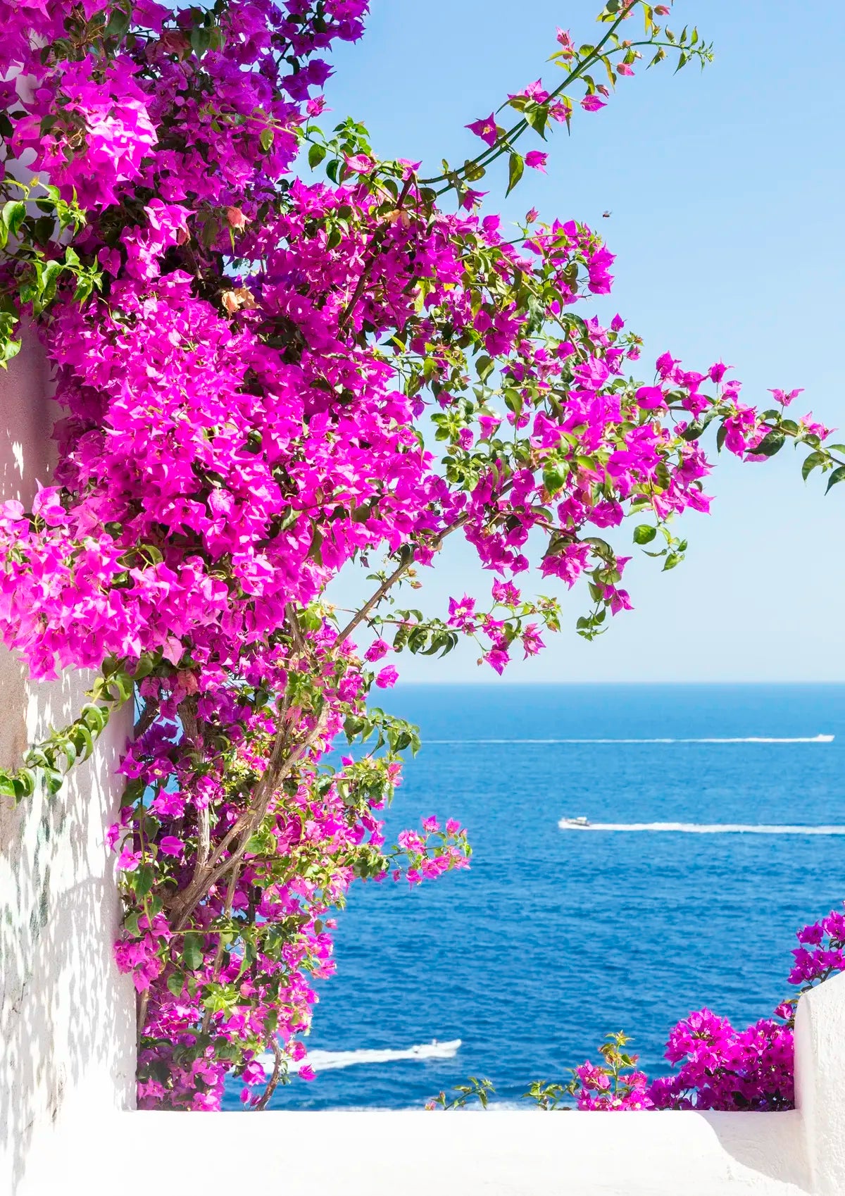 White italian building arch with pink flowers overlooking a blue sea with white boats.