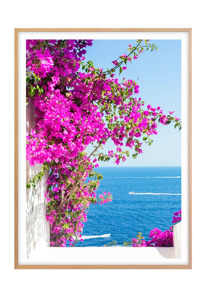 Bougainvillea, Praiano, Amalfi Coast
