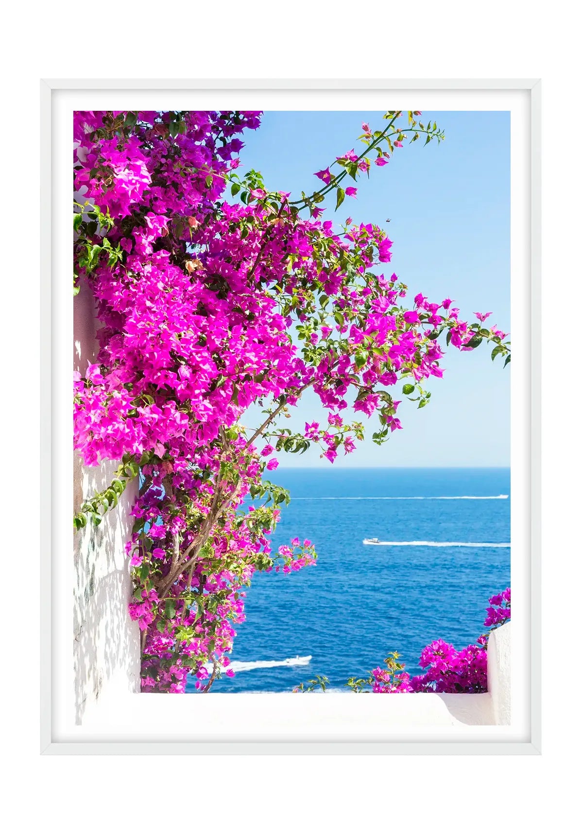 Bougainvillea, Praiano, Amalfi Coast