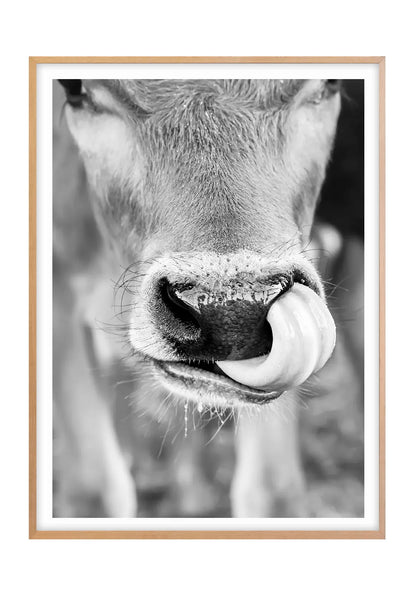 Caught in the Act, Cow - Black and White - Vertical