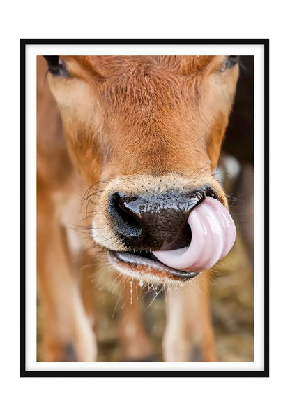 Caught in the Act, Cow - Colour - Vertical