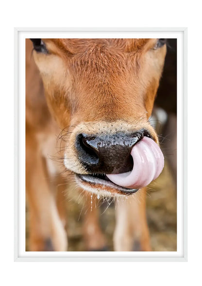 Caught in the Act, Cow - Colour - Vertical