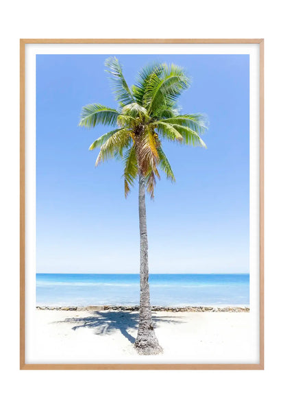 Fiji Lone Palm