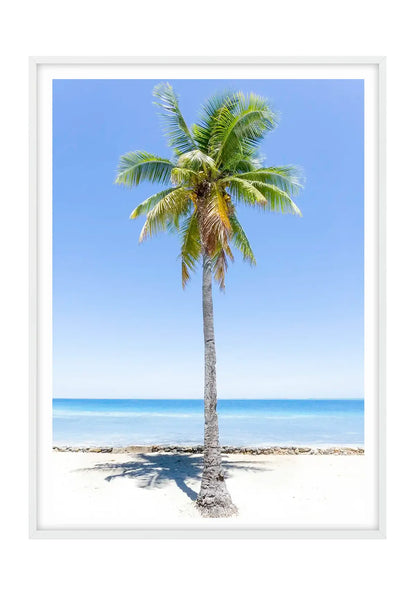 Fiji Lone Palm
