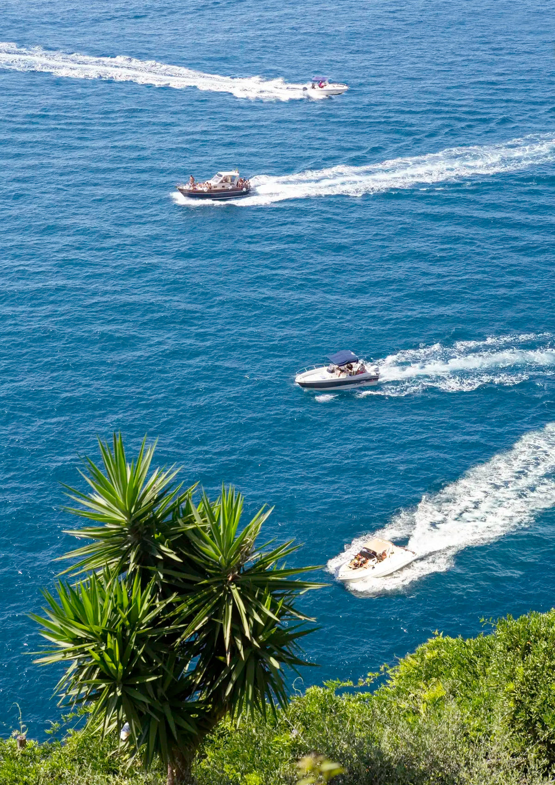 Three boats on a body of water with greenery in the foreground