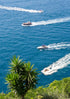 Three boats on a body of water with greenery in the foreground