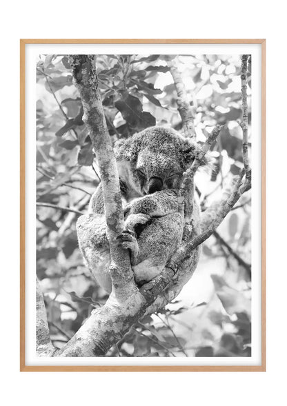 Highland Slumber, Black and White