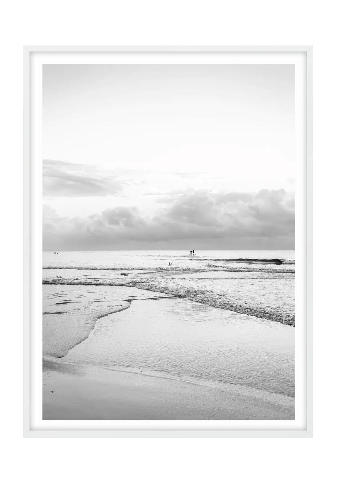 Morning Paddle, Manly - Black and White