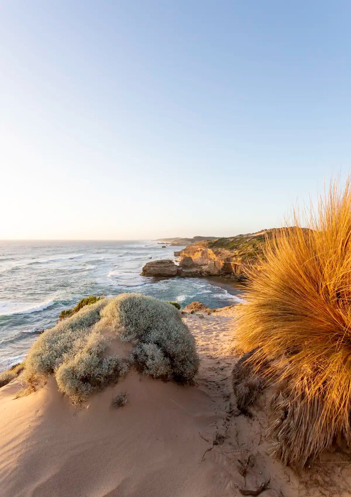 Scenic view of a coastal landscape with sand dunes and ocean.