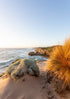 Scenic view of a coastal landscape with sand dunes and ocean.