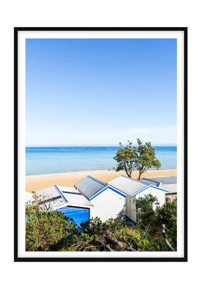 Mount Martha Boat Sheds and Banksia