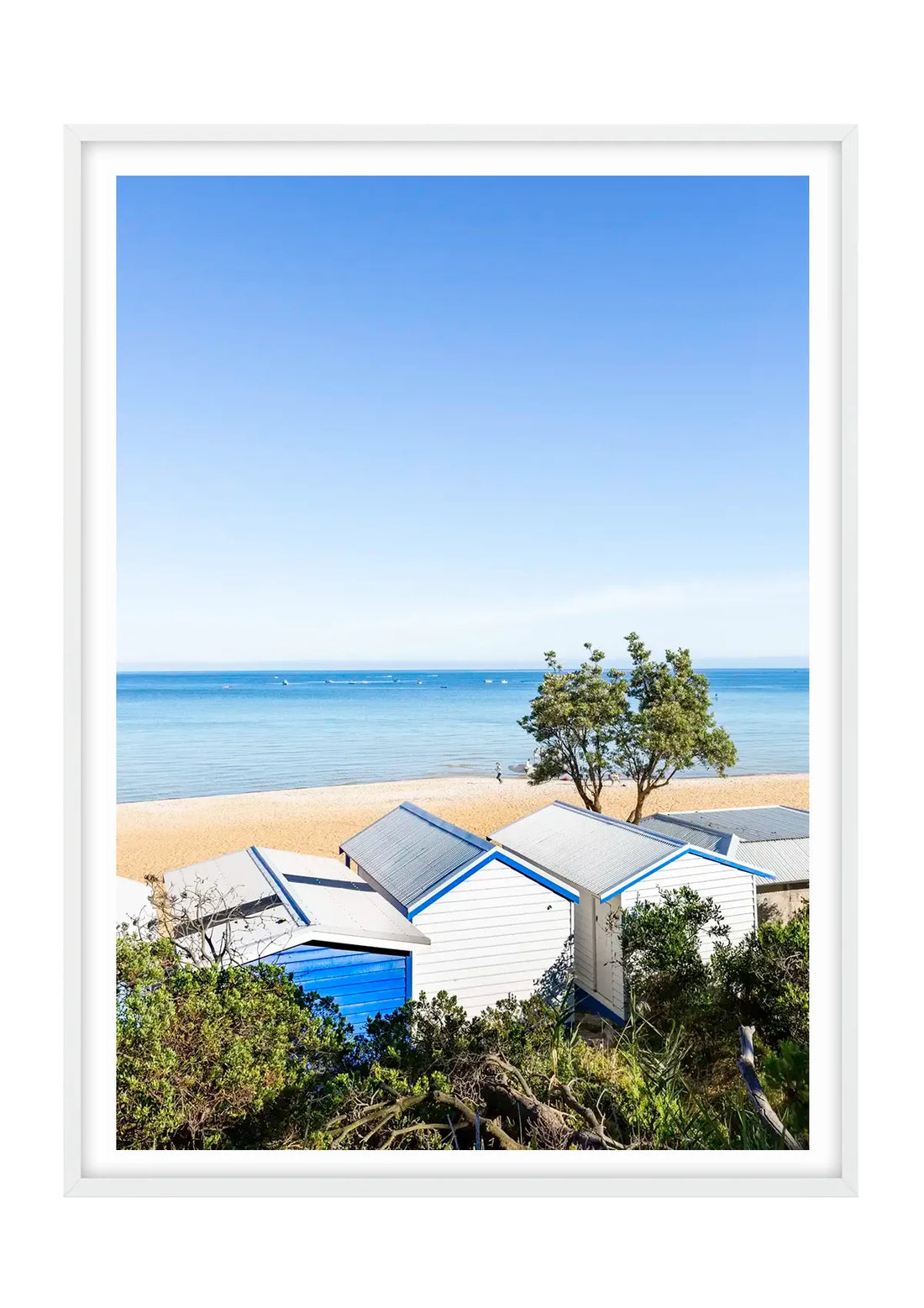 Mount Martha Boat Sheds and Banksia