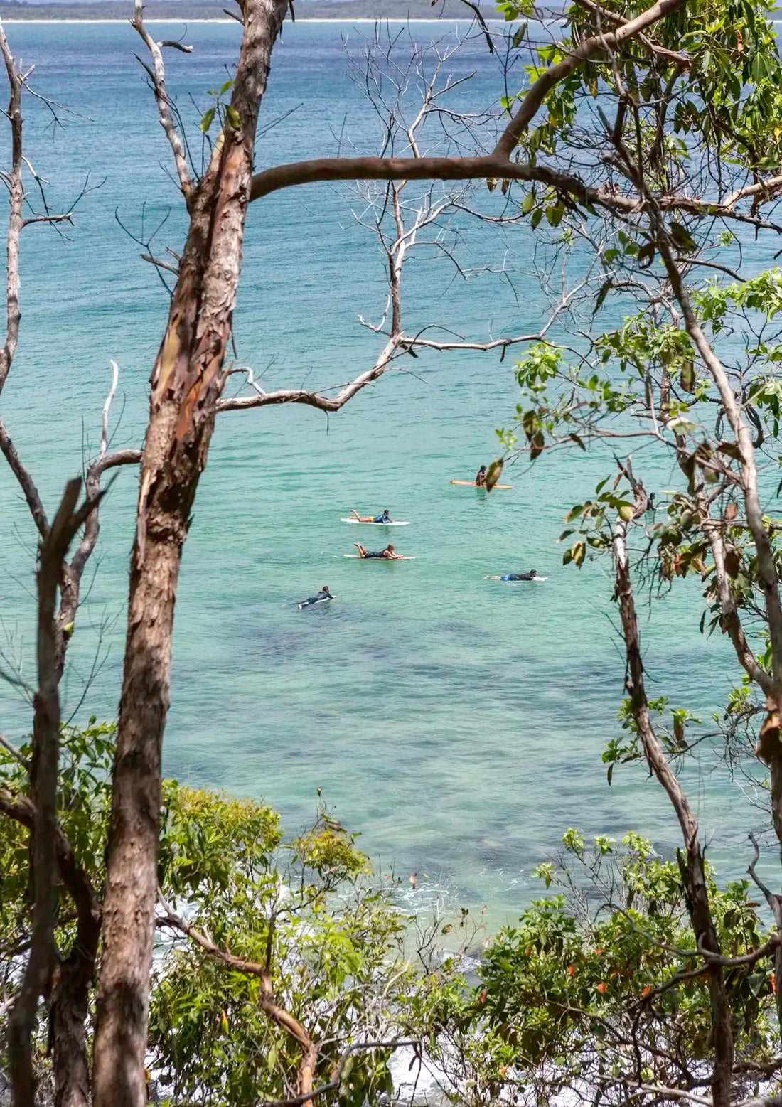 People on surfboards in the ocean with trees and birds in the foreground