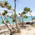 Tropical beach with pandanus trees and clear blue sky