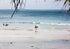 Surfers on a beach with calm ocean and distant land.