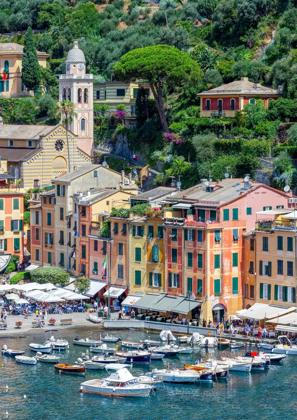 Hilly town with colorful buildings and a harbor filled with boats.