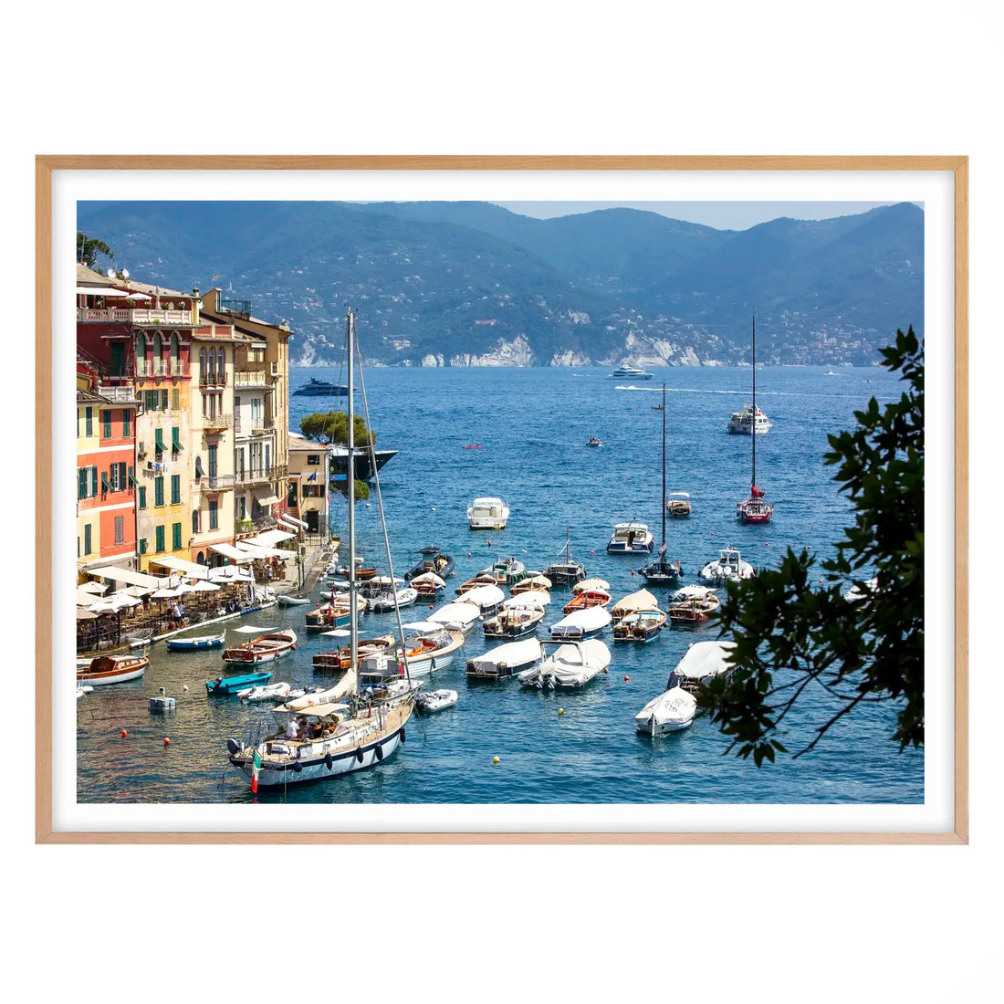 Riviera Splendour, Portofino