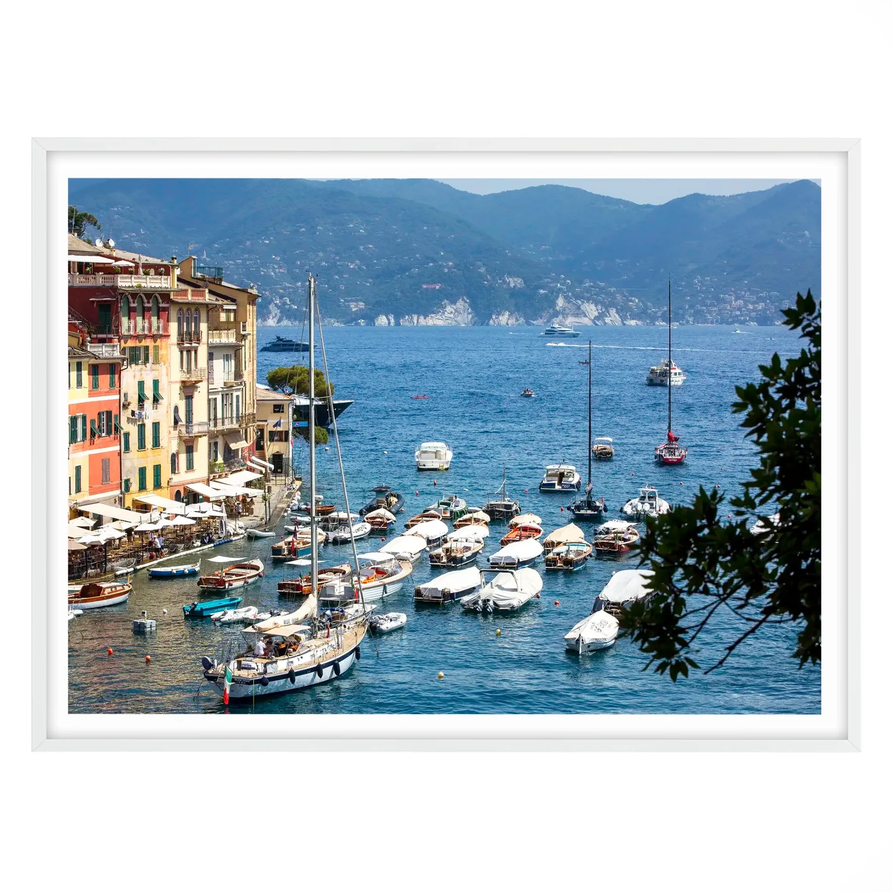 Riviera Splendour, Portofino