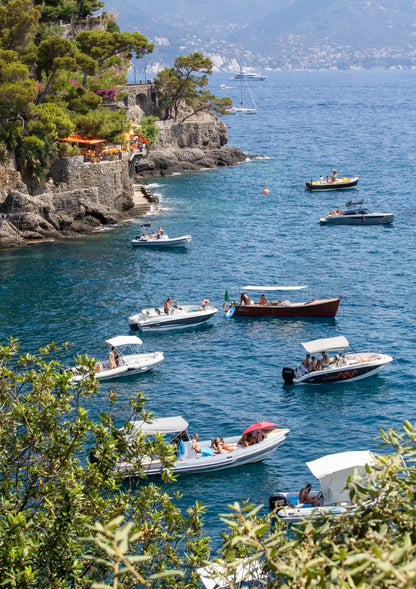 Boats in a harbor with a scenic view of mountains and trees.
