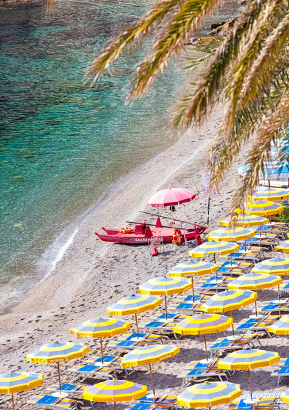 Beach scene with yellow and blue umbrellas, a pink umbrella, and a palm tree.