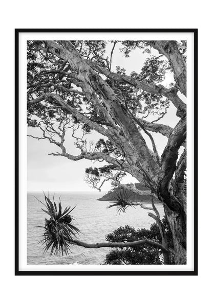 Tea Tree Bay Textures - Black and White