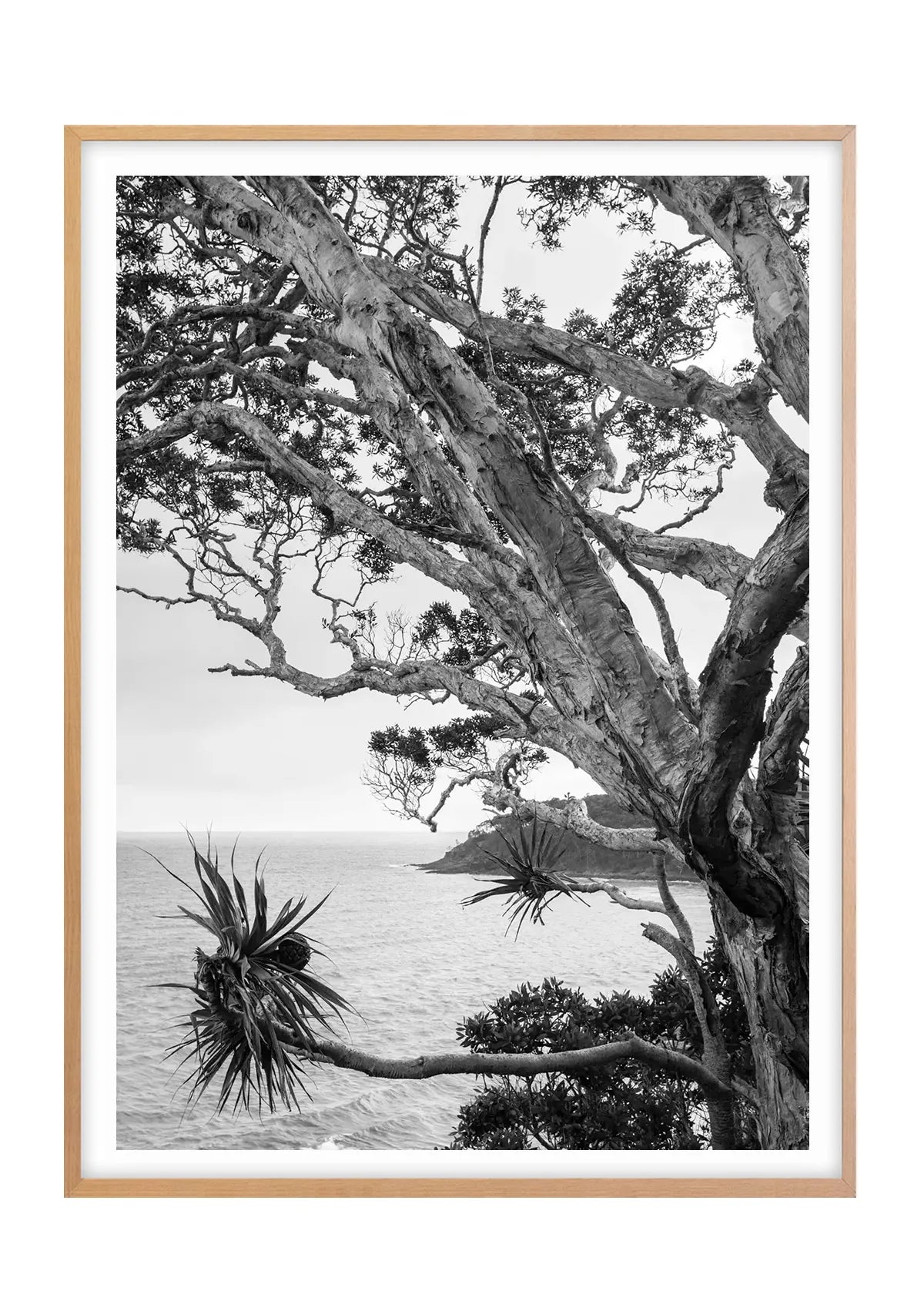 Tea Tree Bay Textures - Black and White