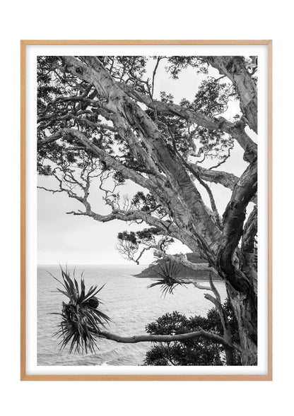Tea Tree Bay Textures - Black and White