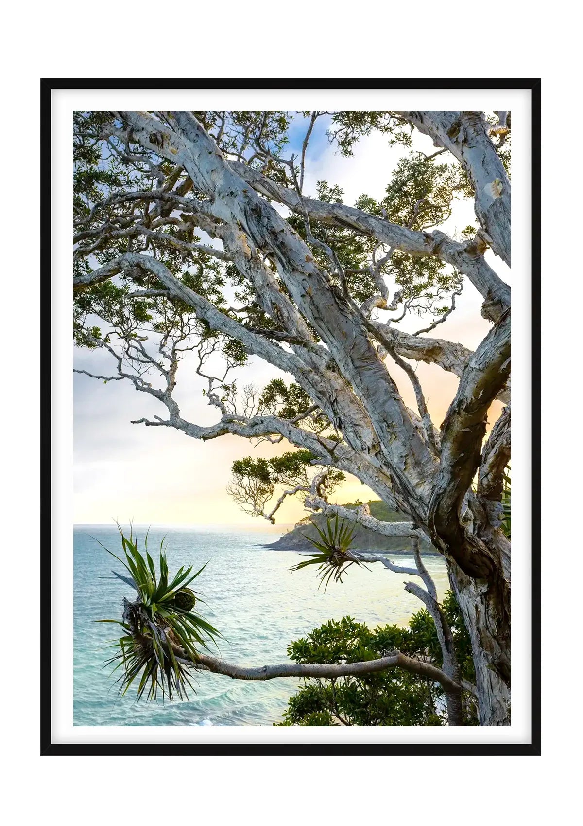 Tea Tree Bay Textures - Colour