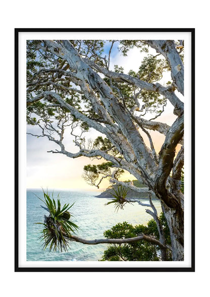 Tea Tree Bay Textures - Colour