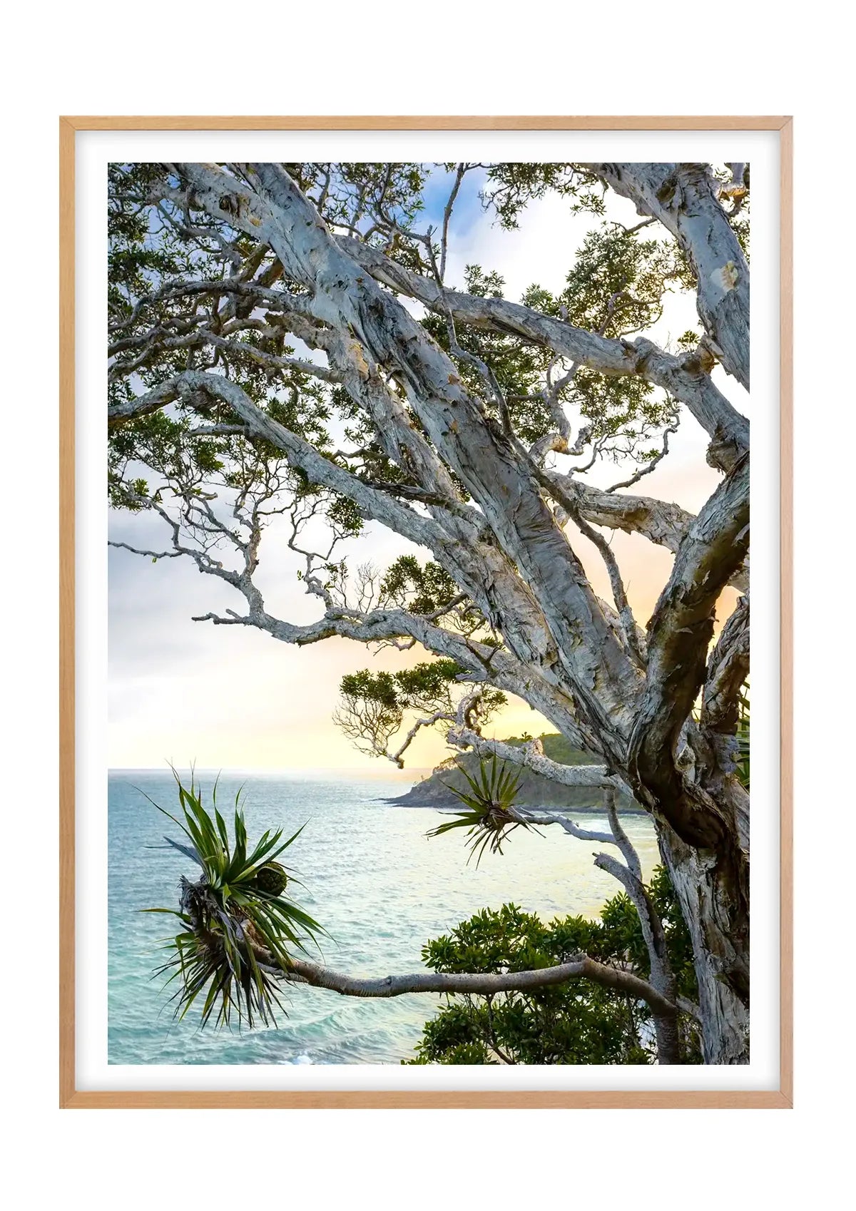 Tea Tree Bay Textures - Colour