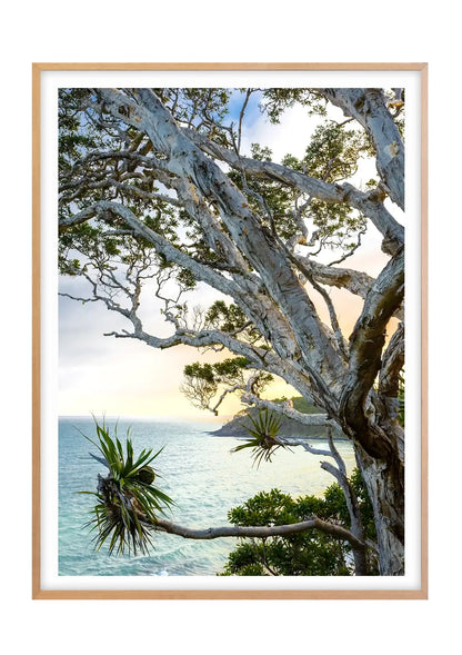 Tea Tree Bay Textures - Colour