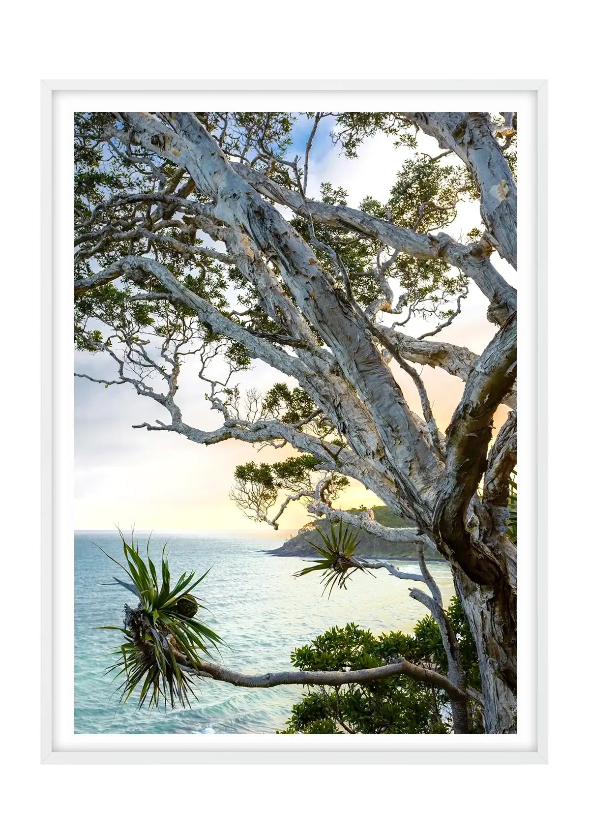 Tea Tree Bay Textures - Colour