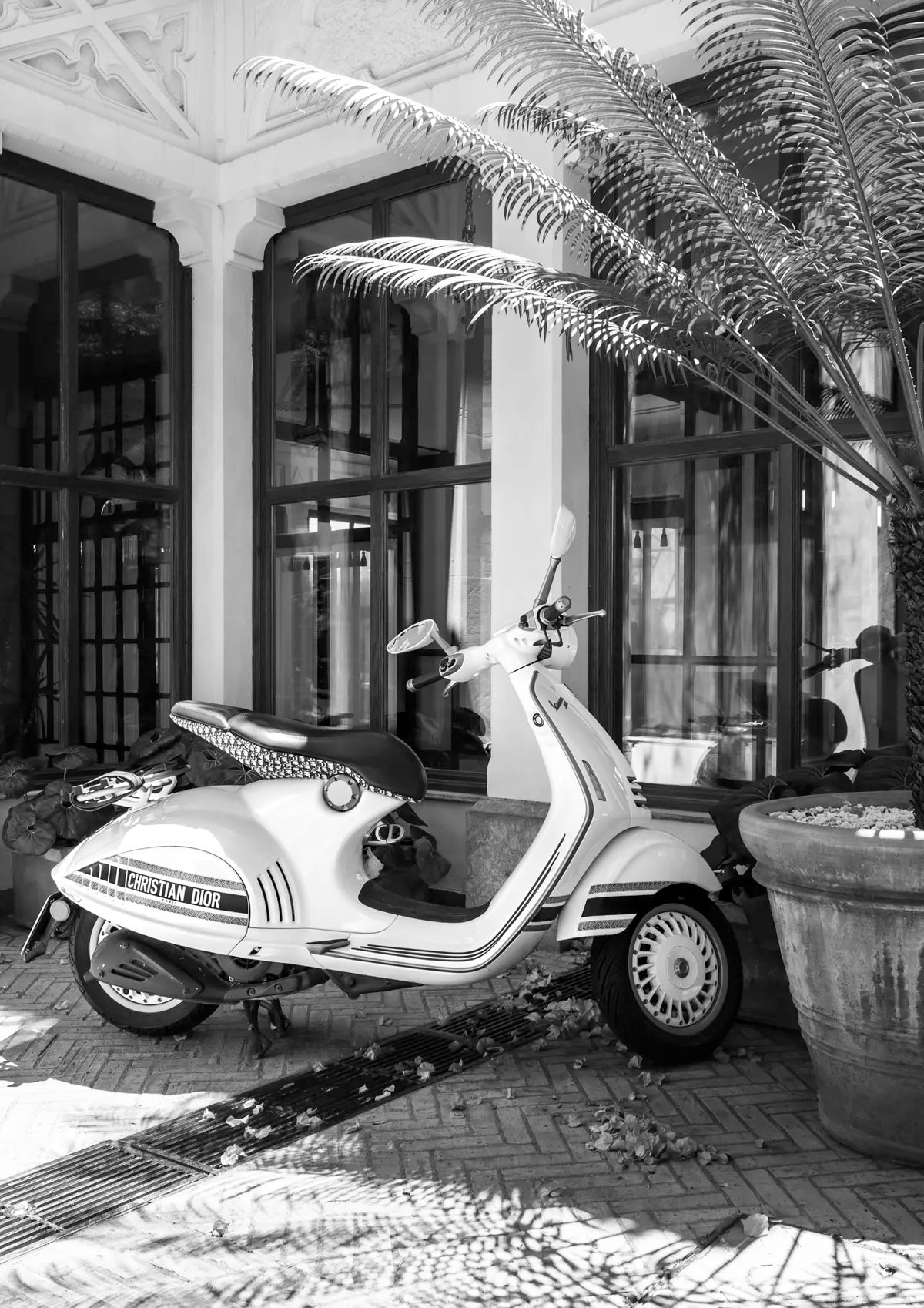Vintage scooter parked in front of a building with large windows and palm trees.